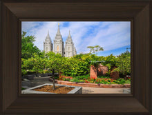 Load image into Gallery viewer, Salt Lake Eden
