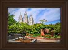 Load image into Gallery viewer, Salt Lake Eden
