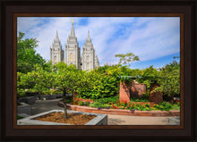 Load image into Gallery viewer, Salt Lake Eden
