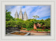 Load image into Gallery viewer, Salt Lake Eden

