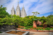 Load image into Gallery viewer, Salt Lake Eden
