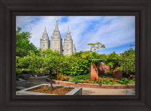 Load image into Gallery viewer, Salt Lake Eden

