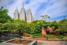 Load image into Gallery viewer, Salt Lake Eden Gallery Wrap
