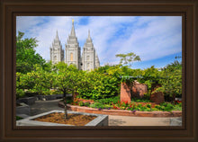 Load image into Gallery viewer, Salt Lake Eden
