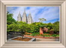 Load image into Gallery viewer, Salt Lake Eden
