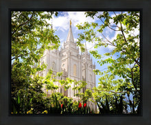 Load image into Gallery viewer, Salt Lake Glimpse of Eternity Gallery Wrap
