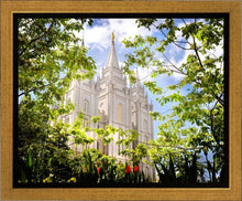 Load image into Gallery viewer, Salt Lake Glimpse of Eternity Gallery Wrap
