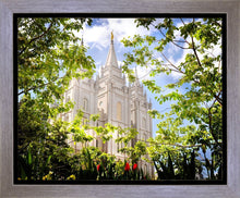 Load image into Gallery viewer, Salt Lake Glimpse of Eternity Gallery Wrap
