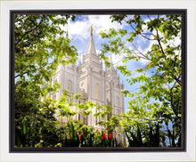 Load image into Gallery viewer, Salt Lake Glimpse of Eternity Gallery Wrap
