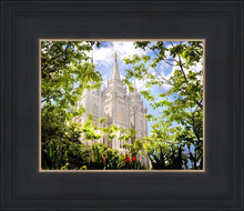 Load image into Gallery viewer, Salt Lake Glimpse of Eternity

