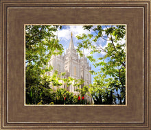 Load image into Gallery viewer, Salt Lake Glimpse of Eternity
