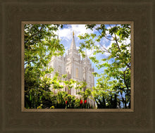 Load image into Gallery viewer, Salt Lake Glimpse of Eternity
