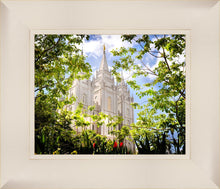 Load image into Gallery viewer, Salt Lake Glimpse of Eternity
