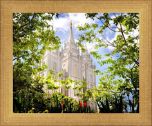 Load image into Gallery viewer, Salt Lake Glimpse of Eternity
