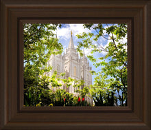 Load image into Gallery viewer, Salt Lake Glimpse of Eternity
