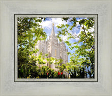 Load image into Gallery viewer, Salt Lake Glimpse of Eternity
