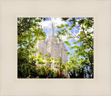 Load image into Gallery viewer, Salt Lake Glimpse of Eternity

