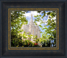 Load image into Gallery viewer, Salt Lake Glimpse of Eternity
