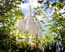 Load image into Gallery viewer, Salt Lake Glimpse of Eternity
