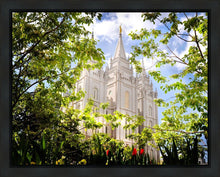 Load image into Gallery viewer, Salt Lake Glimpse of Eternity Gallery Wrap
