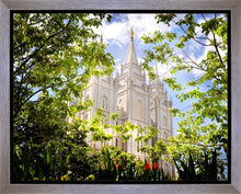Load image into Gallery viewer, Salt Lake Glimpse of Eternity Gallery Wrap
