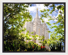 Load image into Gallery viewer, Salt Lake Glimpse of Eternity Gallery Wrap

