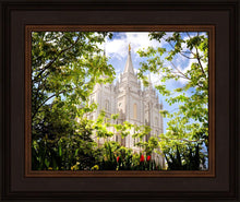 Load image into Gallery viewer, Salt Lake Glimpse of Eternity
