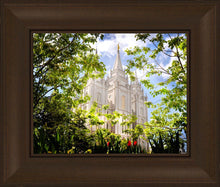 Load image into Gallery viewer, Salt Lake Glimpse of Eternity
