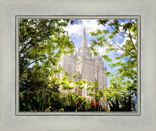 Load image into Gallery viewer, Salt Lake Glimpse of Eternity
