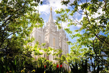 Load image into Gallery viewer, Salt Lake Glimpse of Eternity Gallery Wrap
