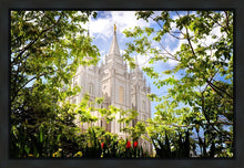 Load image into Gallery viewer, Salt Lake Glimpse of Eternity Gallery Wrap
