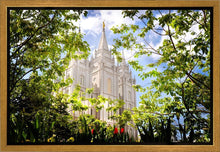 Load image into Gallery viewer, Salt Lake Glimpse of Eternity Gallery Wrap
