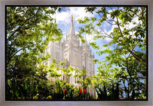 Load image into Gallery viewer, Salt Lake Glimpse of Eternity Gallery Wrap
