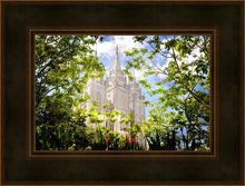 Load image into Gallery viewer, Salt Lake Glimpse of Eternity
