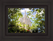 Load image into Gallery viewer, Salt Lake Glimpse of Eternity
