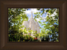 Load image into Gallery viewer, Salt Lake Glimpse of Eternity
