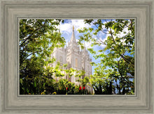 Load image into Gallery viewer, Salt Lake Glimpse of Eternity
