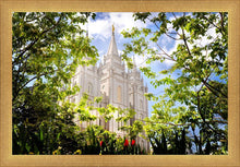 Load image into Gallery viewer, Salt Lake Glimpse of Eternity
