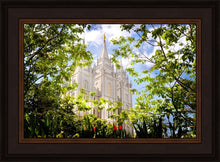 Load image into Gallery viewer, Salt Lake Glimpse of Eternity
