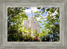 Load image into Gallery viewer, Salt Lake Glimpse of Eternity
