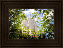 Load image into Gallery viewer, Salt Lake Glimpse of Eternity
