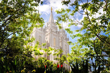 Load image into Gallery viewer, Salt Lake Glimpse of Eternity
