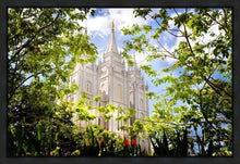 Load image into Gallery viewer, Salt Lake Glimpse of Eternity Gallery Wrap
