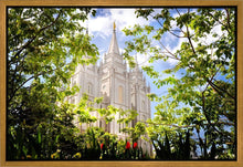 Load image into Gallery viewer, Salt Lake Glimpse of Eternity Gallery Wrap
