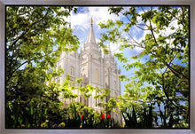 Load image into Gallery viewer, Salt Lake Glimpse of Eternity Gallery Wrap
