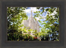 Load image into Gallery viewer, Salt Lake Glimpse of Eternity
