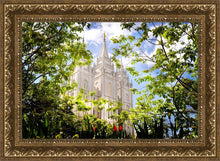 Load image into Gallery viewer, Salt Lake Glimpse of Eternity
