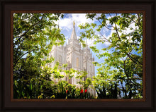 Load image into Gallery viewer, Salt Lake Glimpse of Eternity
