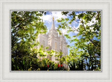 Load image into Gallery viewer, Salt Lake Glimpse of Eternity
