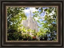 Load image into Gallery viewer, Salt Lake Glimpse of Eternity
